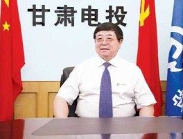 000791 000791甘肃电投有人看好吗？