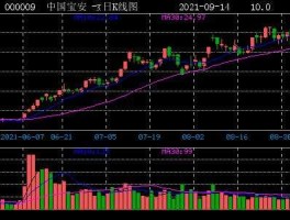 股票000009 中国宝安是个什么公司？