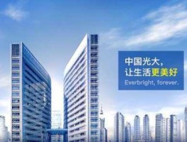光大集团 光大集团有多牛？