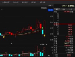 600834股票（地方国企股票有哪些？）