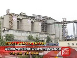 冀东水泥（冀东水泥股份有限公司现状分析？）