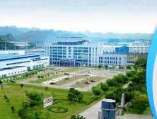 广西华锡集团，柳州有几家国有大型企业？