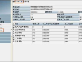宁波市劳动和社会保障网 如何查询个人社保账户缴费情况？