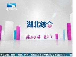 湖北电视台综合频道 湖北电视台在什么地方？