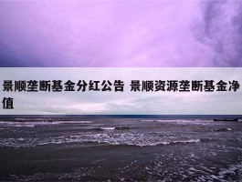 景顺资源基金，景顺垄断资源基金怎样？