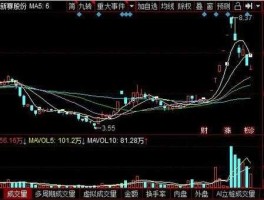 新赛股份股票 生产棉花的上市公司股票有什么？