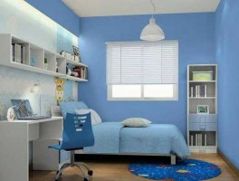 高端碳粉 涂奈克手机电池耐用吗？