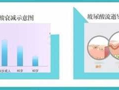 波尿酸，玻尿酸的理化性质？