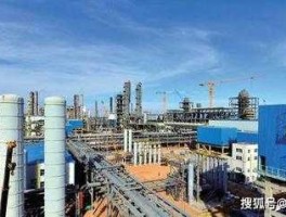 浙江联合化工，河南联合能源化工集团有实力吗？