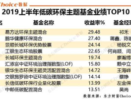 环保股票推荐（低碳环保基金排名前十名？）