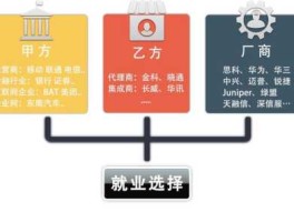 it公司 it甲方单位有哪些？