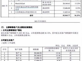 红光实业 财务诈骗分类以及他的成因？