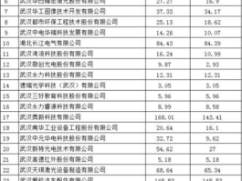 东湖高新 东湖高新邮编？