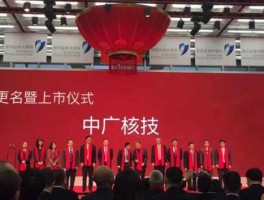 000881大连国际 000881中广核技旗下有多少家公司？