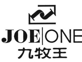 601566？九牧王股份有限责任公司属于什么行业？