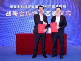连接资本 先锋金融集团是什么背景？