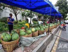 西瓜交易，卖西瓜需要准备什么？