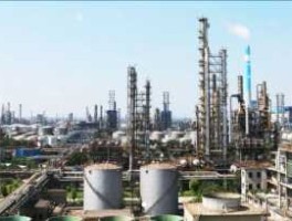 茂化实华股票 茂名市丽塑石化有限公司介绍？