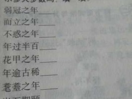每日一暴，光景一日不如一日用什么成语形容？