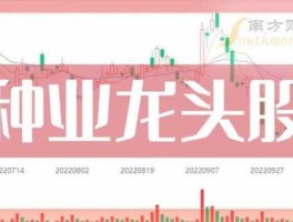 300462，中国种业龙头？
