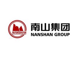 南山控股？南山集团和南山控股什么关系？