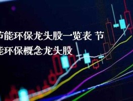 环保股票龙头？环保第一龙头？