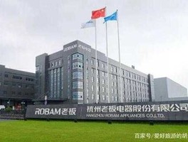 000752？000752京东方是什么公司？