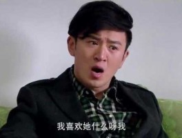 李建军 我的儿子是奇葩何花和董事长后续？