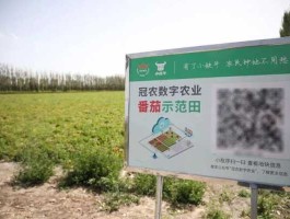 新农开发吧（冠农股份和新农开发有什么区别？）