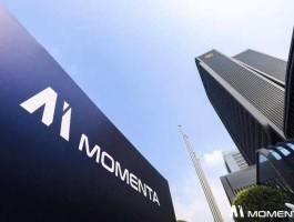 momenta？momenta公司是国企吗？