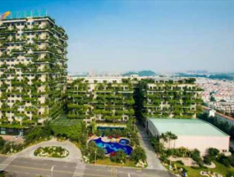 碧桂园 碧桂园在中国有多少项目？