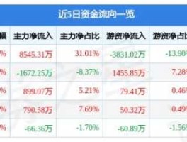 深 赛 格 新进军光伏玻璃概念股？