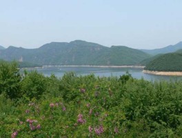 东港论坛 什么是一日照？