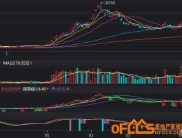 翠微股份 翠微股份是数字货币的龙头企业吗？