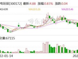 股票300172？中电环保是专精特新吗？