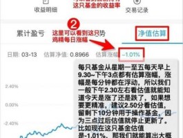 213006（基金为什么突然看不见估值了？）