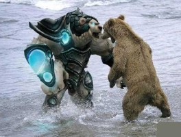 英雄与狗熊？英雄与狗熊的区别是什么？