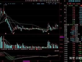000918股票（嘉凯城集团股份有限公司介绍？）