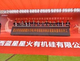 蓝星化工新材料股份有限公司？南通星辰新材料有限公司？