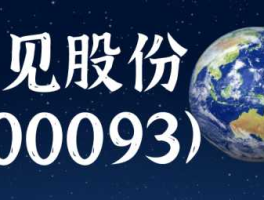 股票600093，易见股份是什么性质公司？