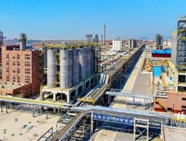 中国软包装集团，福建中景石化有限公司？