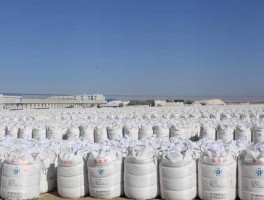 藏格钾肥（藏格矿业主营业务？）