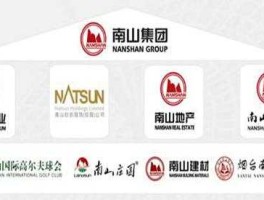 雅致股份股票 中国南山集团和中国南山开发集团是什麽关系？