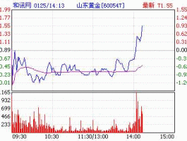 山东黄金600547 600547山东黄金是不是应该长期持有啊？