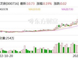 000716股票 黑芝麻股票最高涨到多少？