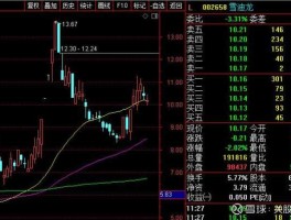 雪迪龙股票，环保检测概念股有哪些股票？