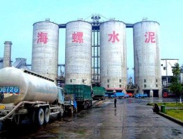 台泥国际 芜湖有哪些世界500强的单位？