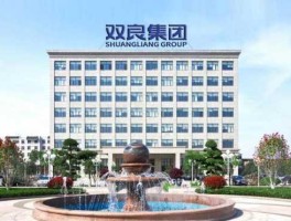 双良股份（双良专能是什么公司？）