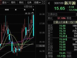 新开源股票，新开源属于什么类型的股票？