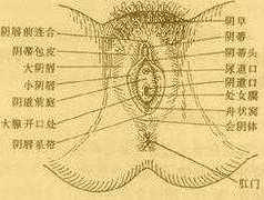 快点嘛人家痒 会阴痒有什么快速治疗办法？